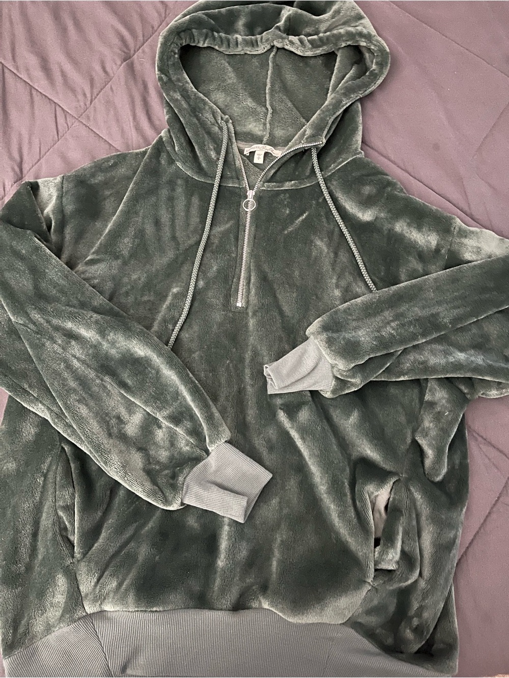 Express Men's Plush Half-Zip Hooded Sweater in Sage Green